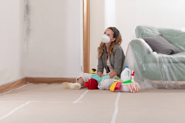 Reliable Mold Inspection contractor in Freeport, IL by WQB Mold Removal